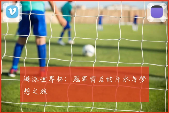 游泳世界杯：冠军背后的汗水与梦想之旅