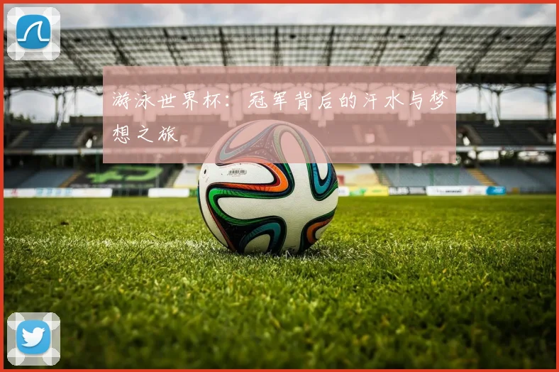 游泳世界杯：冠军背后的汗水与梦想之旅