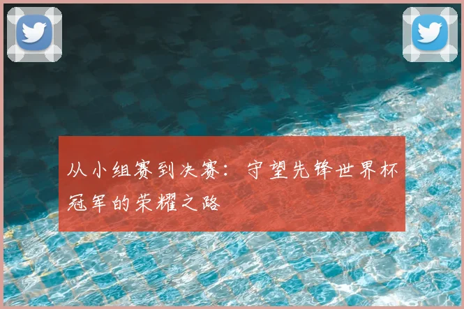 从小组赛到决赛：守望先锋世界杯冠军的荣耀之路