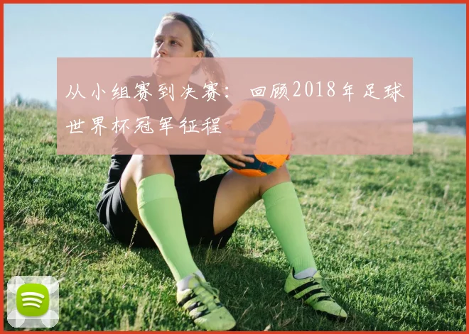 从小组赛到决赛：回顾2018年足球世界杯冠军征程