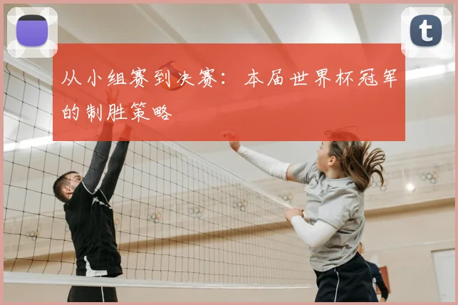 从小组赛到决赛：本届世界杯冠军的制胜策略